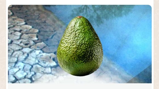 مغرب الحضارة: المغرب رقم قياسي في تصدير فاكهة الأفوكادو والفرشة المائية مهددة بالاستنزاف