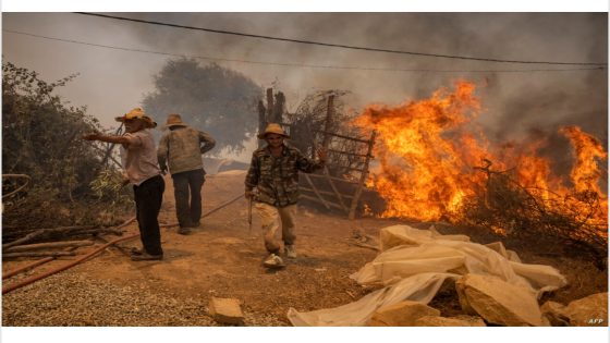 المديرية العامة للأمن الوطني والوكالة الوطنية للمياه والغابات تنظمان يوما دراسيا حول مكافحة الجرائم الماسة بالمجال الغابوي