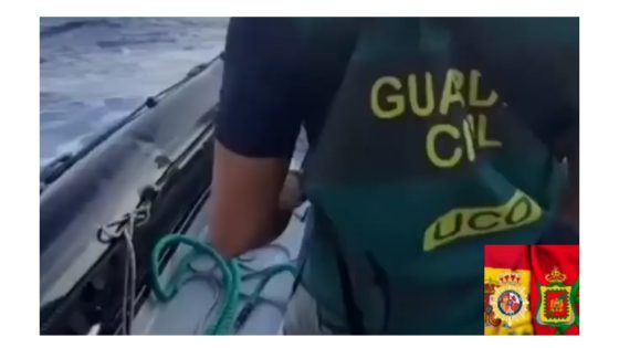 فيديو بالإسبانية..معلومات الديستي تُمكن إسبانيا من إجهاض تهريب أزيد من 1.610 كيلوغراما من الحشيش بجزر الكناري