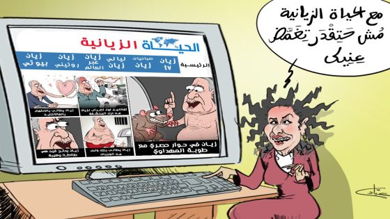 الحياة الزيانية