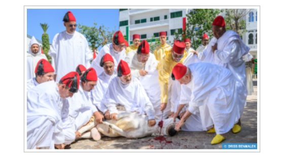 أمير المؤمنين يؤدي صلاة عيد الأضحى المبارك بمسجد الحسن الثاني بتطوان ويتقبل التهاني بهذه المناسبة السعيدة