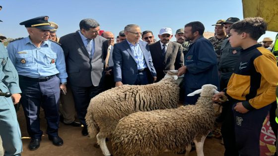 بني ملال…والي جهة بني ملال خنيفرة يتتبع بيع أضاحي العيد بمختلف الأسواق