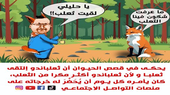 يا حليلي لْقيت ثعلب !!!