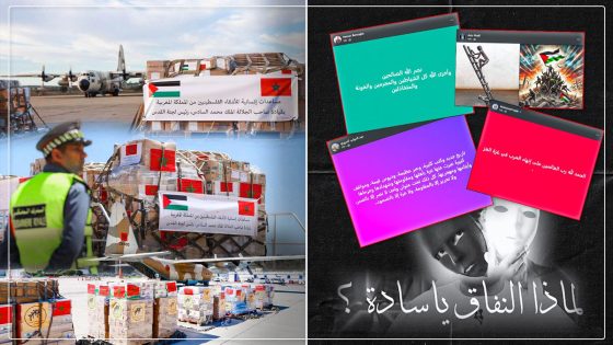 الريسوني ذئب بشري يقتات على الأكاذيب و يتربص بالمغرب..
