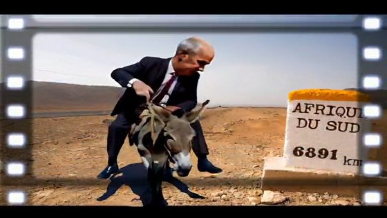 الفلم الجزائري.. مع ” نهيق الحمار “