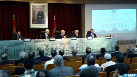 السيد التوفيق: التاريخ علم شرعي ضروري لفهم الدين والهوية