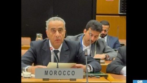 السيد عبد اللطيف حموشي يجري زيارة عمل إلى فيينا