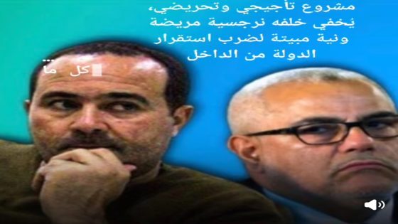 بين حرية التعبير وحلم الفوضى