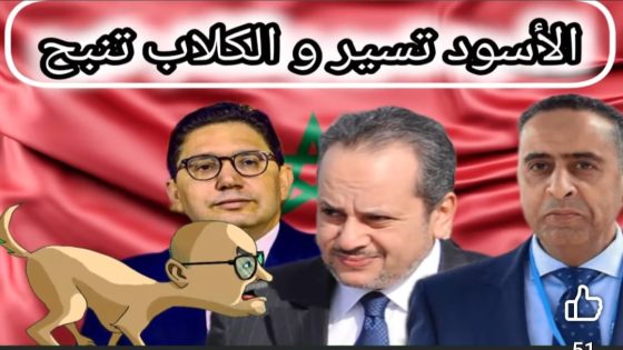 الأسود تسير و الكلاب تنبح..
