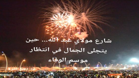 شارع مولاي عبد الله… حين يتجلى الجمال في انتظار موسم الوفاء [+ألبوم صور ]