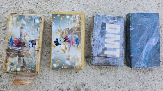 تطوان: توقيف 6 أشخاص من بينهم سيدتان تورطهم في قضية تتعلق بحيازة وترويج مخدر الكوكايين