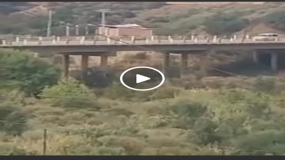 جزائري يوثق تحركات عسكرية مريبة قرب المرادية