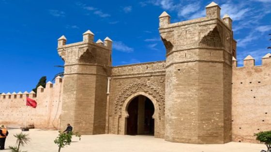 إجتماع وطني يرسم آفاق العمل الاجتماعي لفائدة المتقاعدين والمسنين