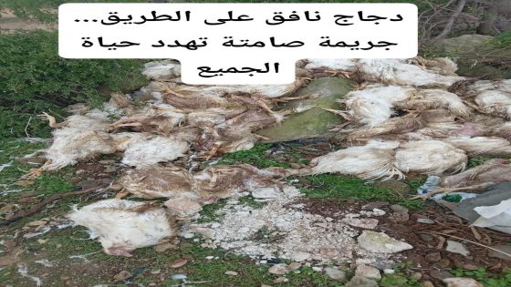 حين تُرمى الصحة العمومية على قاعة الطريق