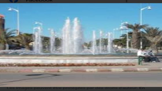 حين تُقال الحقيقة… تُصان الثقة